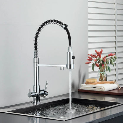 Chrome finished single hole kitchen water filter faucet with flexible black hose dual handles and water purification features