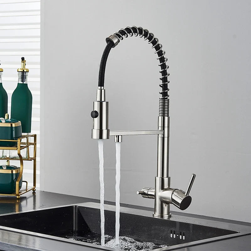 Stainless steel single hole kitchen water filter faucet with flexible black coiled hose and dual spray nozzles