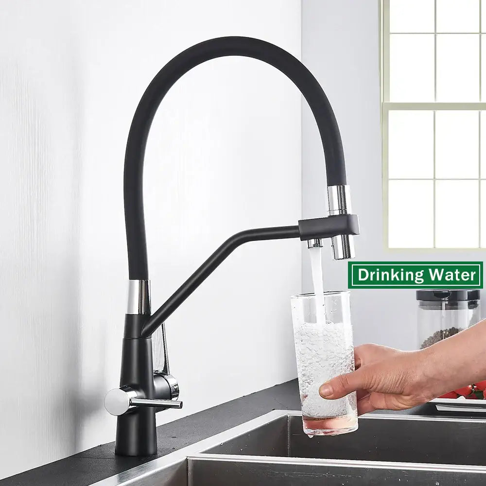 Matte black dual handle kitchen faucet with flexible gooseneck spout and chrome accents for filtered water decorbites black