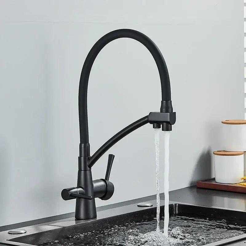 Matte black decorbites dual spout kitchen faucet with curved flexible spout and dual handles for water purification