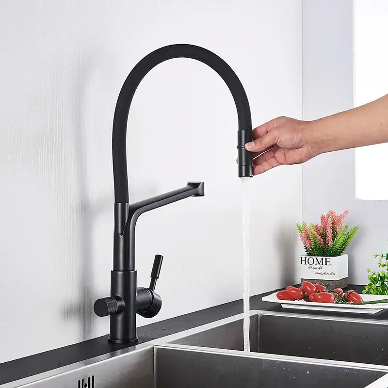 Matte black dual spout kitchen water filter faucet with curved spout and 360 rotation pull-down spray head