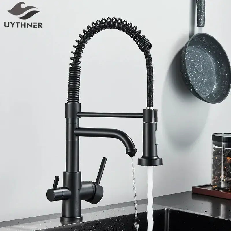 Matte black dual spout kitchen water filter faucet with a coiled gooseneck spout and dual handles in matte finish