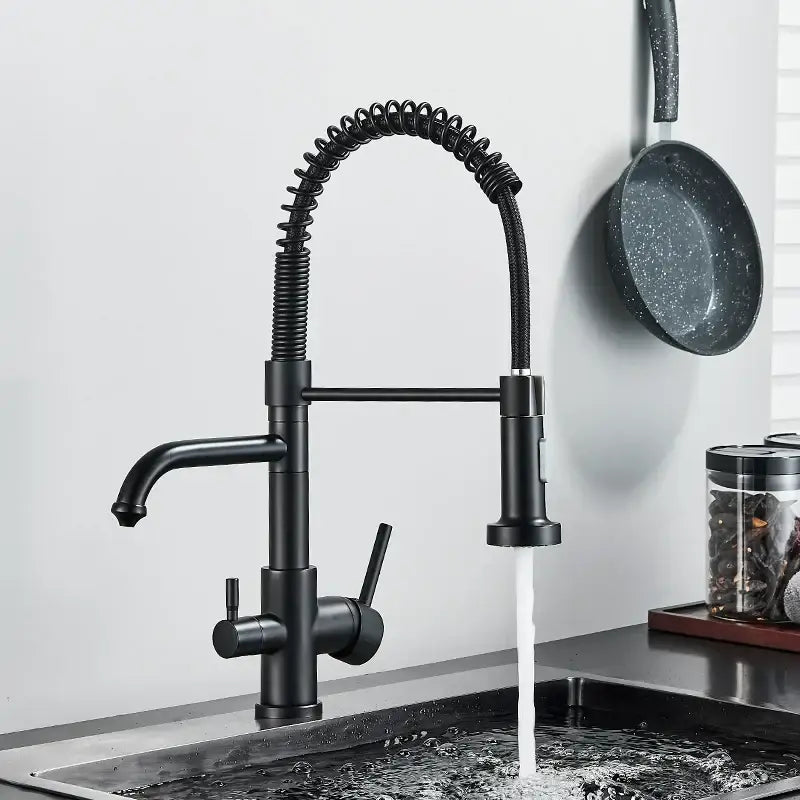 Matte black dual spout kitchen water filter faucet with a coiled gooseneck spout and dual handles for temperature control