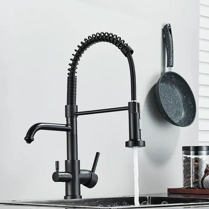 Matte black dual spout kitchen water filter faucet with coiled spring spout and pull-down spray head