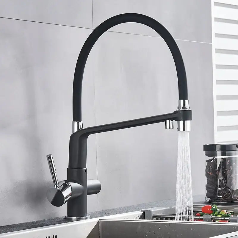 Matte black dual spout water filter faucet kitchen mixer tap with sleek curved spout and chrome accents