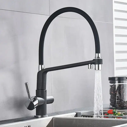 Matte black dual spout water filter faucet kitchen mixer tap with sleek curved spout and chrome accents
