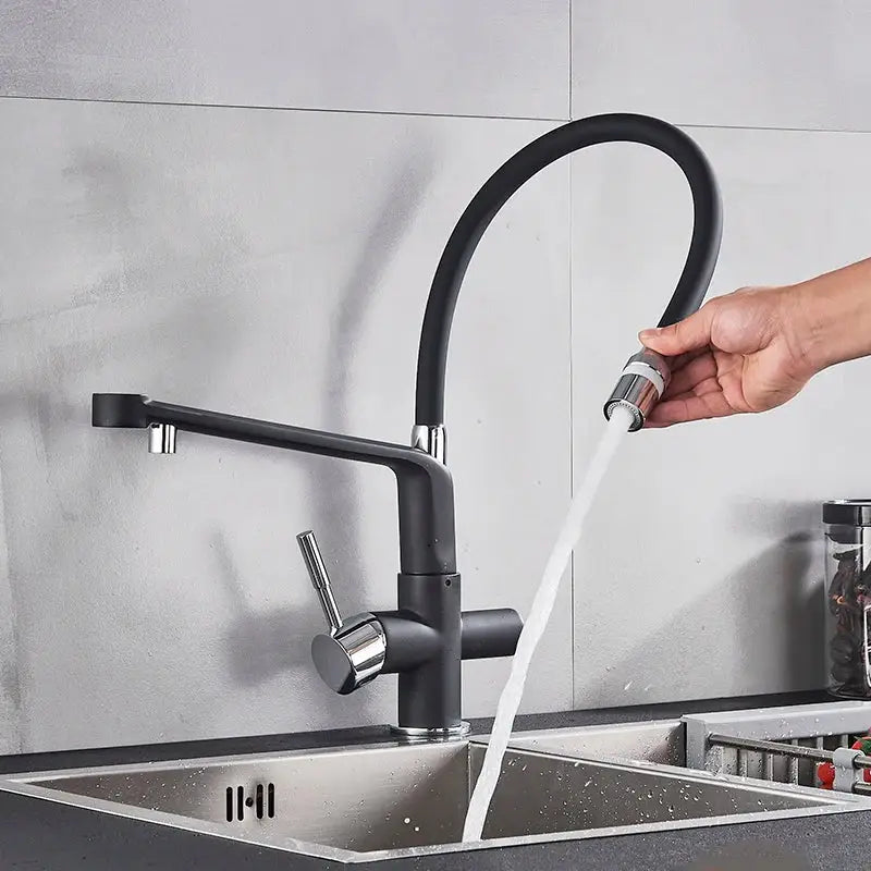 Matte black dual spout water filter kitchen mixer tap with flexible hose and chrome accents water filter faucet