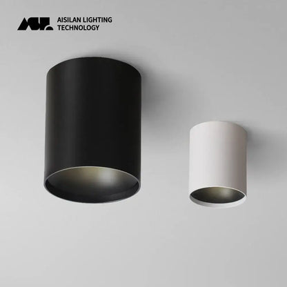 Minimalist white and black decorbites led ceiling light with cylindrical matte finish and sleek metallic interior for bathrooms