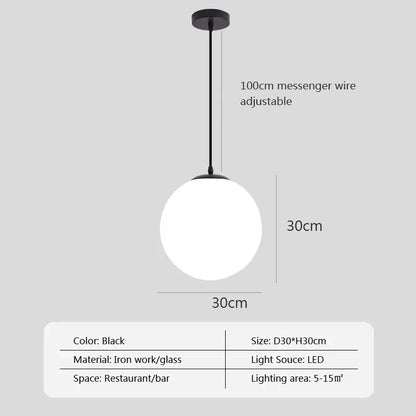 Black spherical glass ball pendant light with matte iron frame and frosted globe featuring led bulb for modern decorbites pendant lights