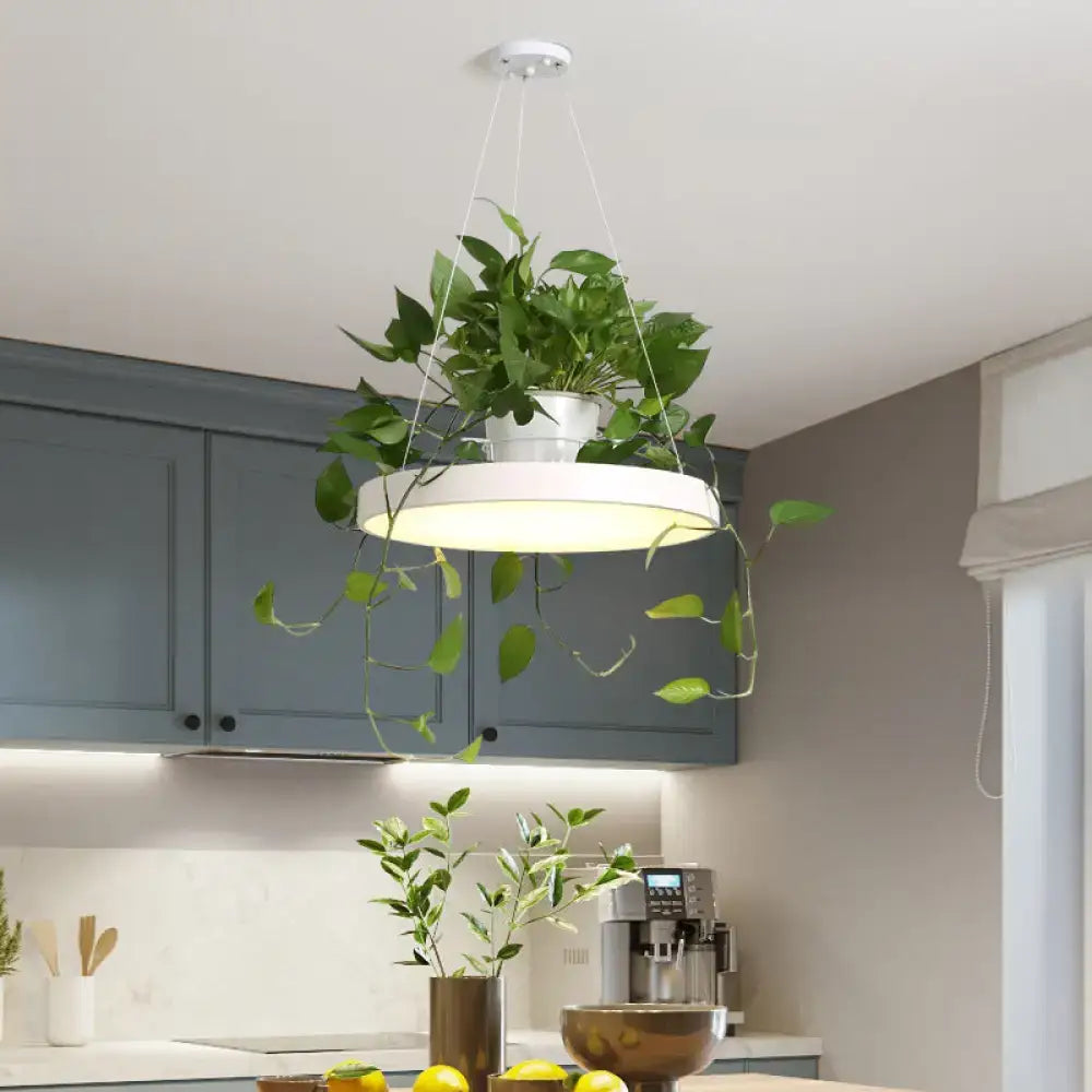 White round macaron round acrylic led pendant light by DecorBites with integrated plant holder and trailing green vines