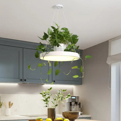 White round macaron round acrylic led pendant light by DecorBites with integrated plant holder and trailing green vines