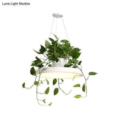 White round macaron round led pendant light with integrated plant holder and trailing green vines by decorbites brooklyn