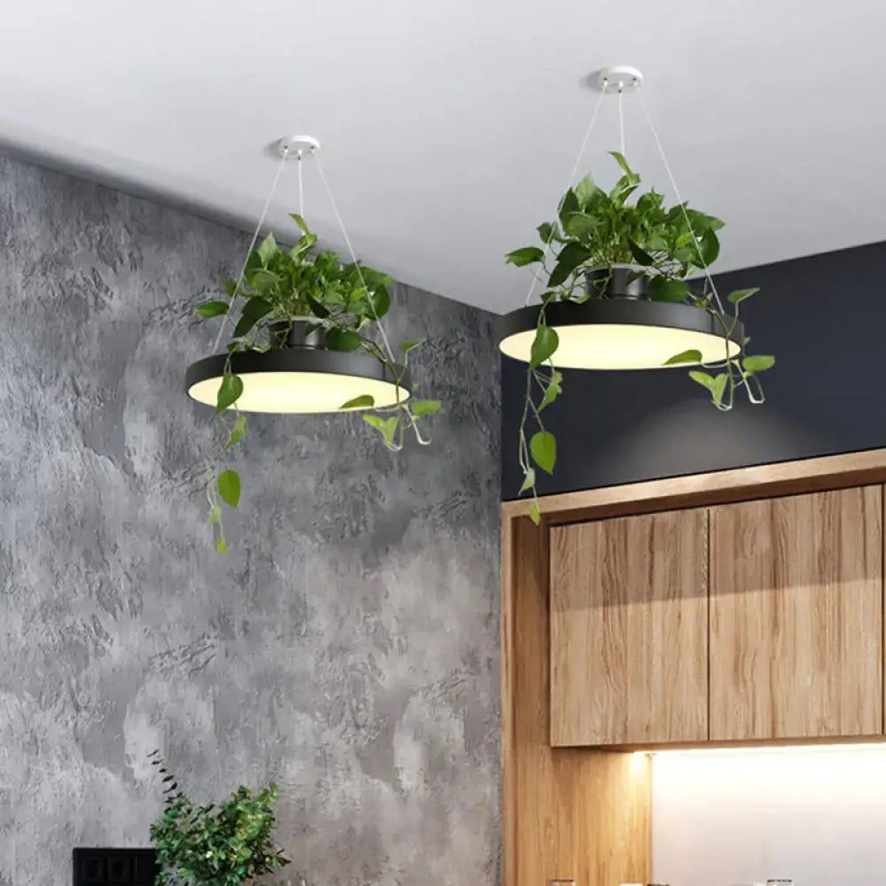 Decorbites brooklyn round macaron black acrylic led pendant light with integrated planter and cascading green vine