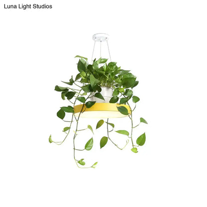A brooklyn round macaron hanging light with bright yellow base white fixture and cascading green ivy vines