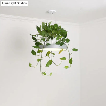 Decorbites brooklyn round macaron gray acrylic macaron round hanging light with white pots and green plants