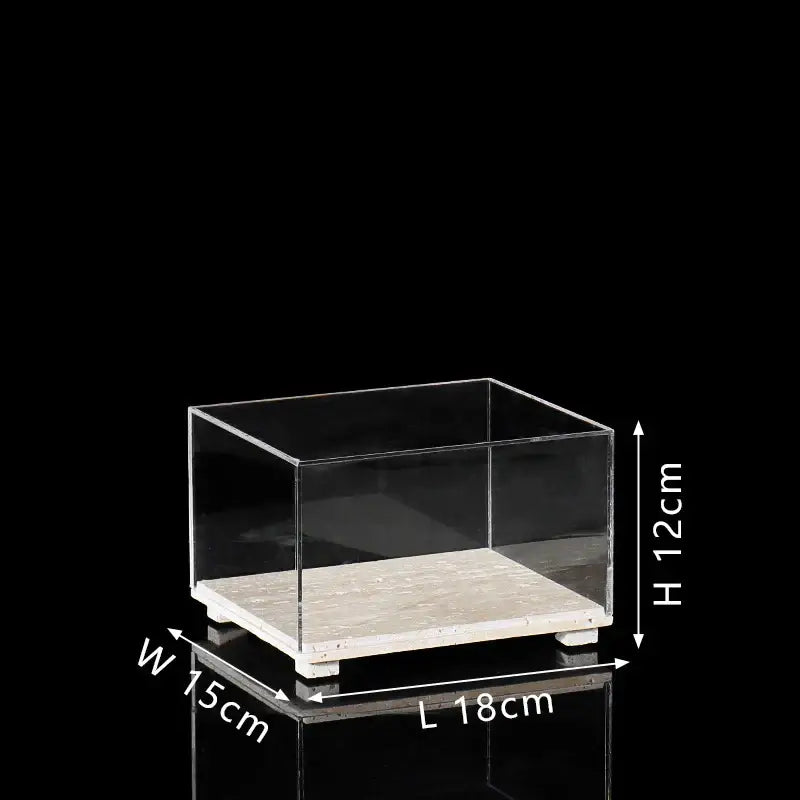 Modern acrylic display case with clear acrylic display box and light wood base for dining room use