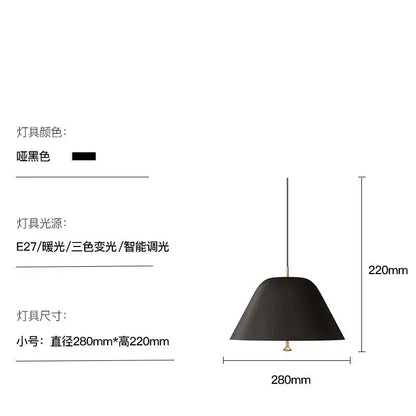 Black matte pendant lamp with conical shade and brass accents complements decorbites acrylic green dimmable lighting