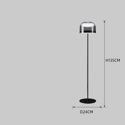 Modern black floor lamp with glass pendant light top and slender metallic stem complementing pendant light design