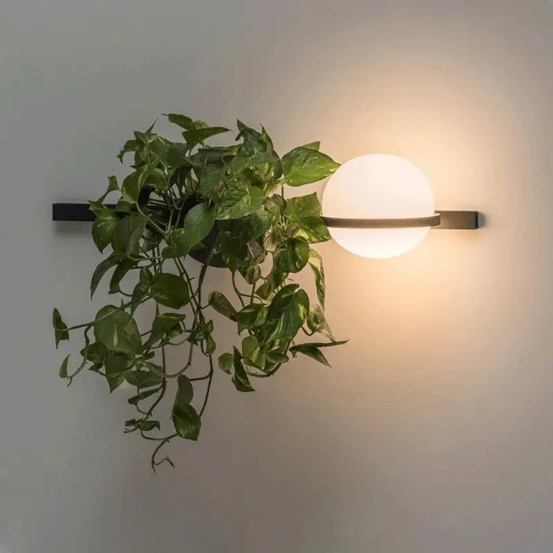 Modern black wall lights with a white acrylic ball shade and hanging green vine plant, ideal for bedroom sconces