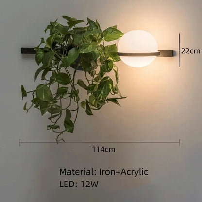 Modern black wall lights feature a white acrylic ball globe with black iron frame and integrated hanging green vine plant