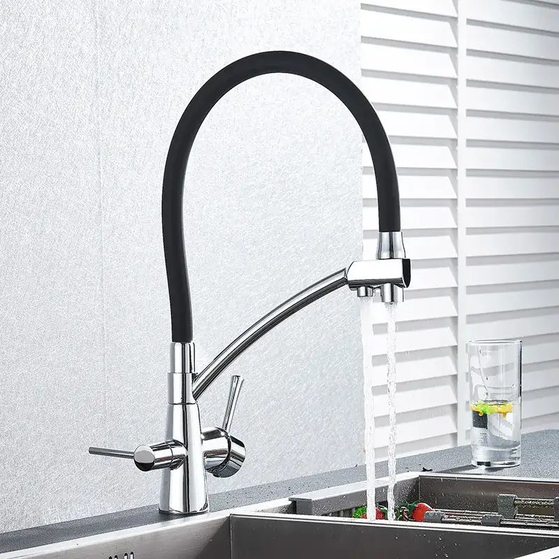 Modern black and chrome decorbites dual spout filter faucet with flexible hose for efficient kitchen use