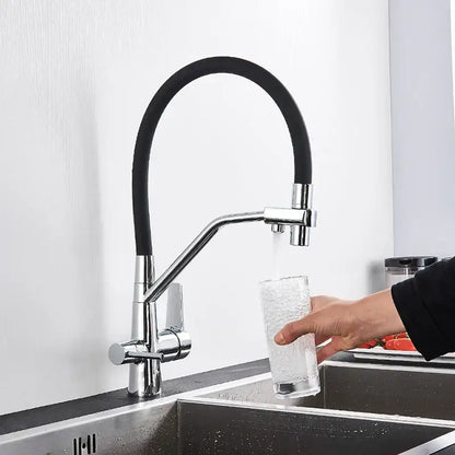 Modern black and chrome decorbites dual spout filter faucet with flexible black rubber hose and dual-handle control
