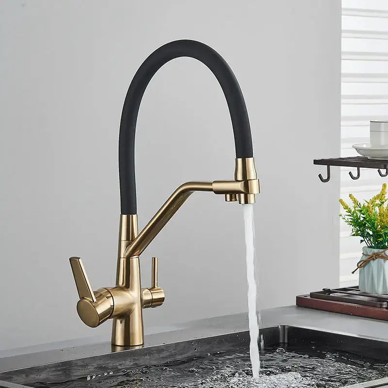 Modern black and chrome decorbites dual spout filter faucet with gold-toned flexible hose and dual handles for kitchen use