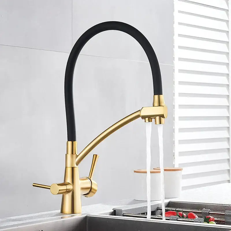 Gold-toned spout filter faucet with black flexible hose and dual spray nozzles for decorbites dual spout use