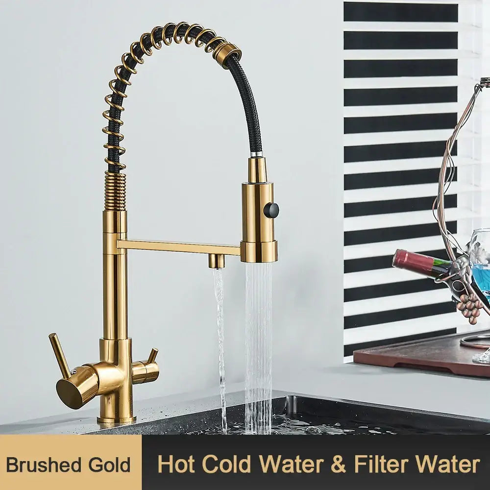 Brushed gold decorbites black modern water filter faucet with flexible coiled hose and dual handles for drinking water filter
