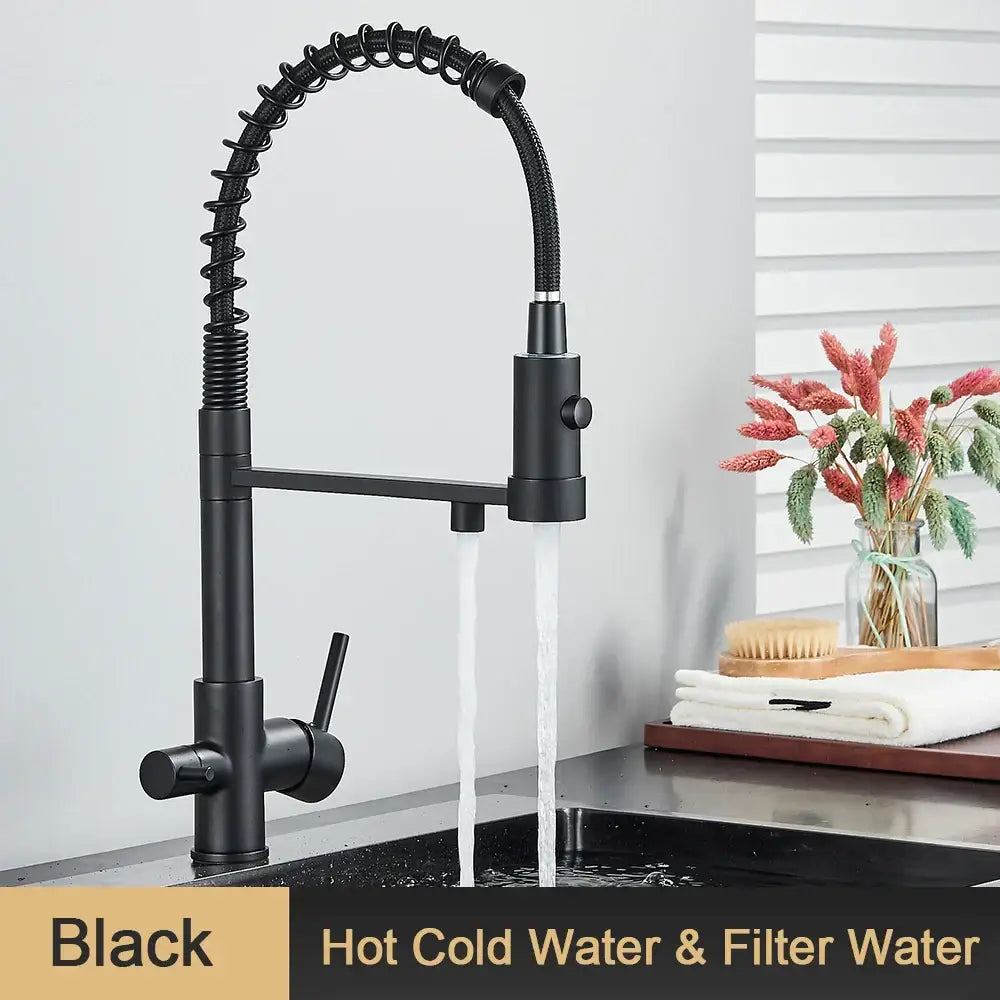 Modern black matte drinking water filter faucet with flexible coiled gooseneck spout and pull-down spray head decorbites black