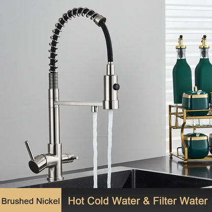 Brushed nickel water filter faucet with flexible coiled hose and dual spray nozzles for decorbites black drinking water filter