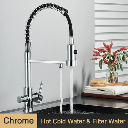 Modern black gold and silver water filter faucet with chrome pull-down spout and decorbites black flexible hose for drinking water filter