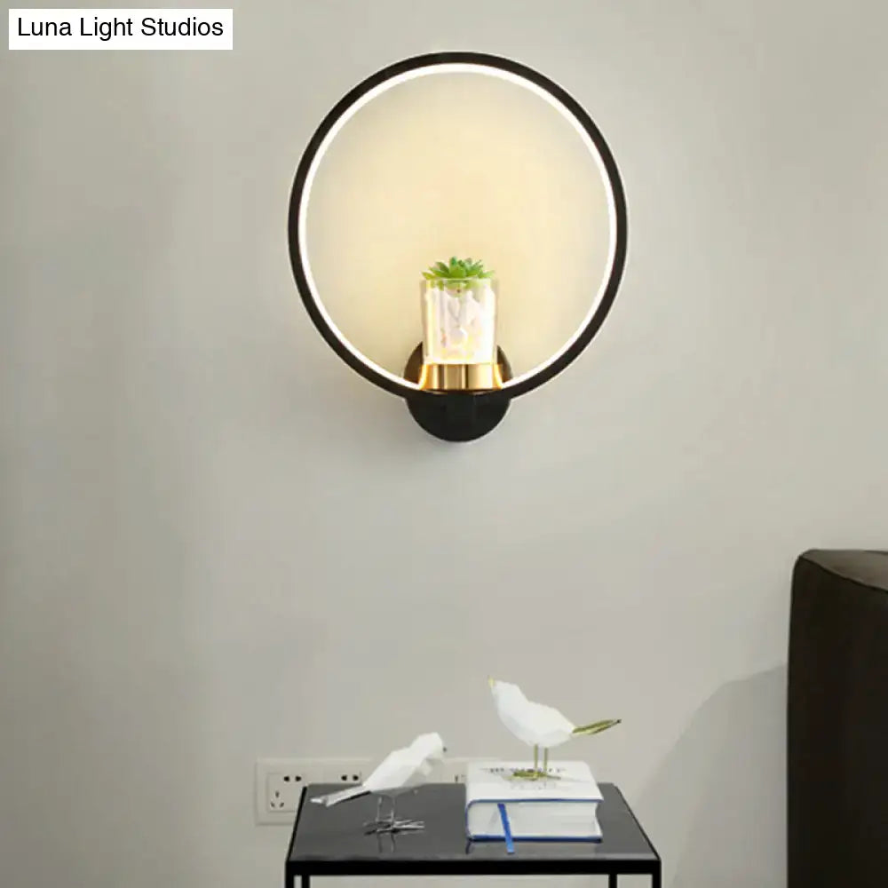 Modern black led light circular wall sconce with frosted glass diffuser and gold-toned base holding a succulent plant