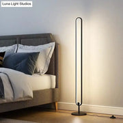 DecorBites modern black acrylic floor lamp with sleek oval frame and adjustable warm white natural light 220v-240v 110v-120v
