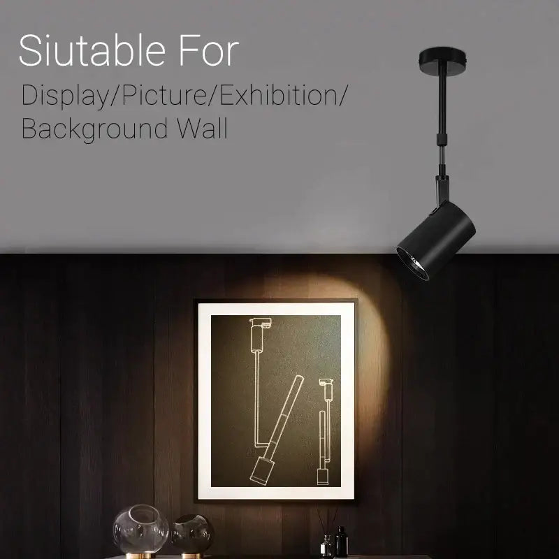 Black decorbites adjustable led wall lamp with adjustable track spotlight mounted on ceiling illuminating artwork