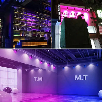 Collage featuring a modern black and white decorbites colorful cob track light system, illuminated bar, and nailcly storefront under pink lighting