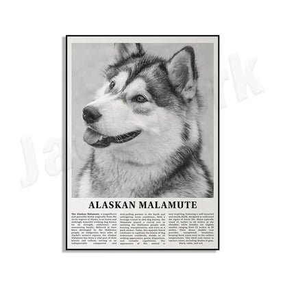 Black-and-white framed dog breeds poster featuring a detailed portrait of an alaskan malamute for living room wall art