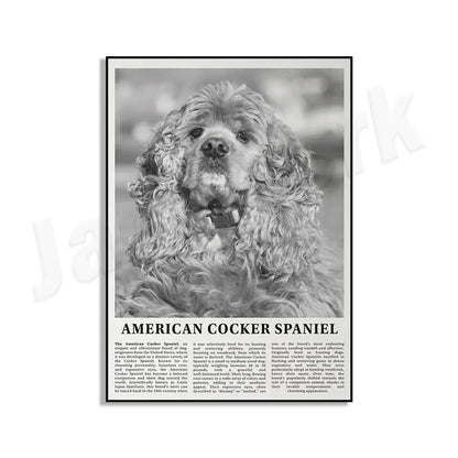 Black and white dog breeds poster featuring a detailed illustration of an american cocker spaniel for living room wall art