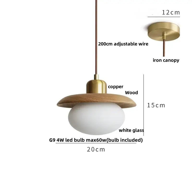 Modern brass and dark wood led wood pendant light with brass-finished copper disc and frosted glass globe by decorbites