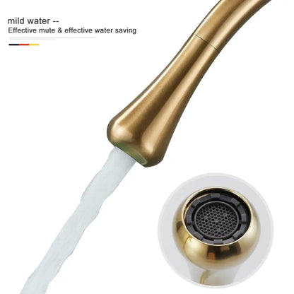 Modern brushed gold and black deck mounted kitchen faucet with a single hole and matte gold-toned finish