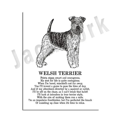 Modern framed black and white dog breed poster featuring a detailed welsh terrier line drawing for decorbites dog decorbites dog breed