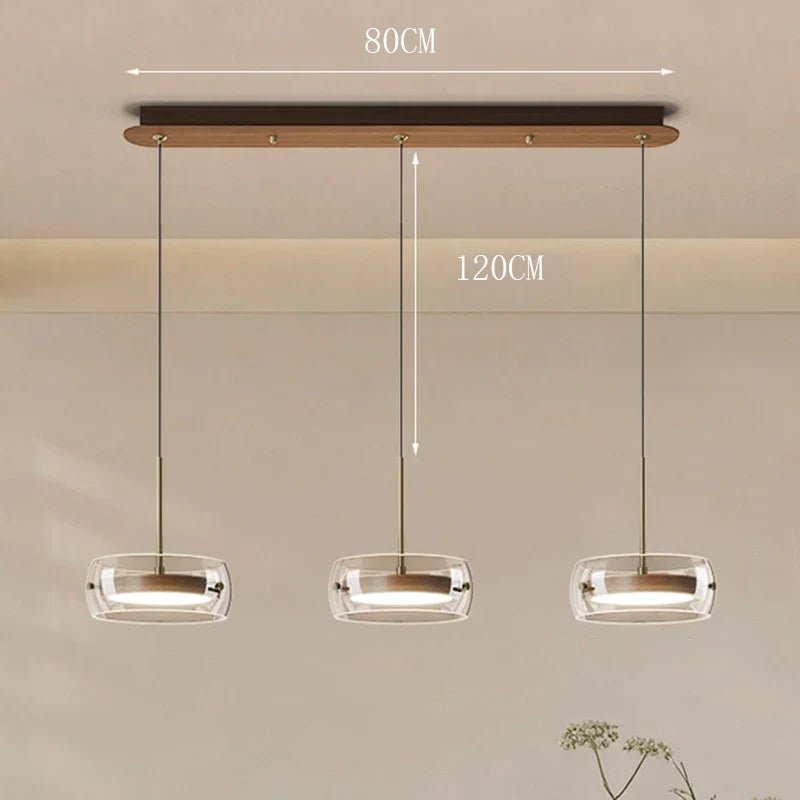 Modern Glass Ring Pendant Light in Iron - Decorbites