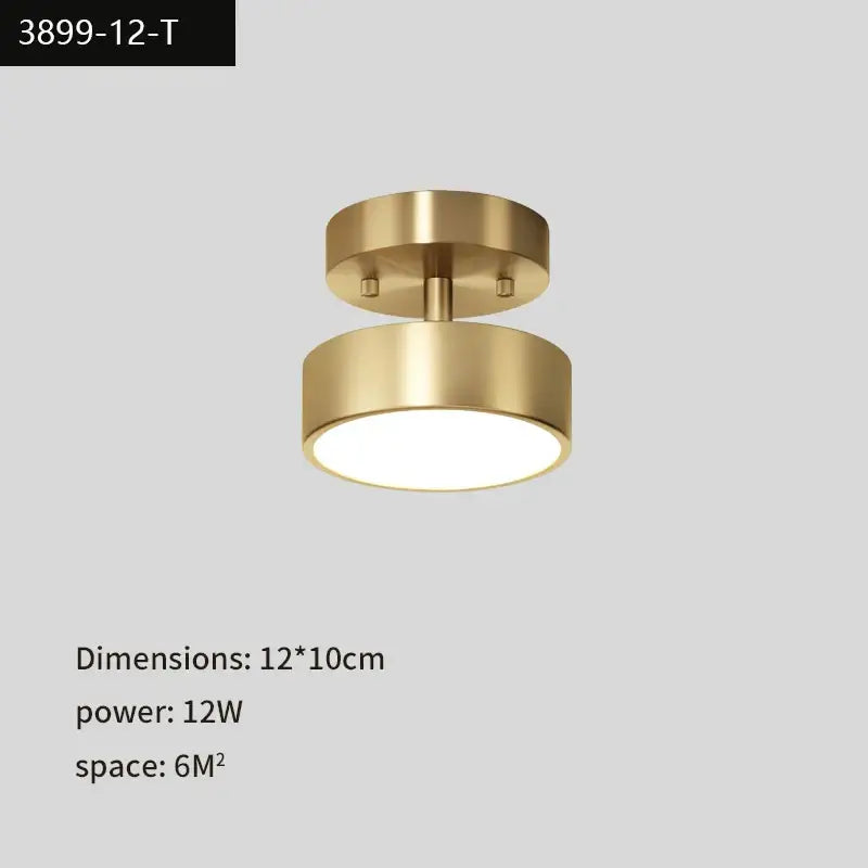 Modern brass-finished flush-mount copper led ceiling light with sleek circular design and warm white decorbites black copper illumination