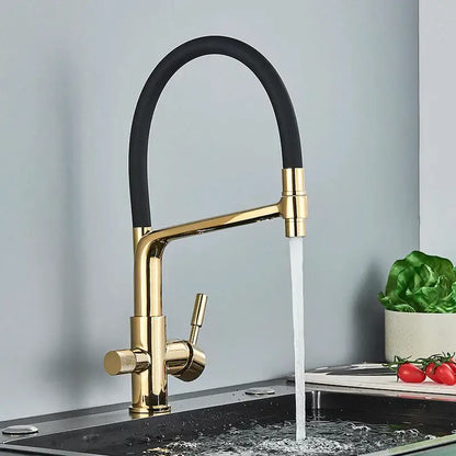 Modern gold and black dual spout kitchen faucet with flexible black rubber hose decorbites dual spout design