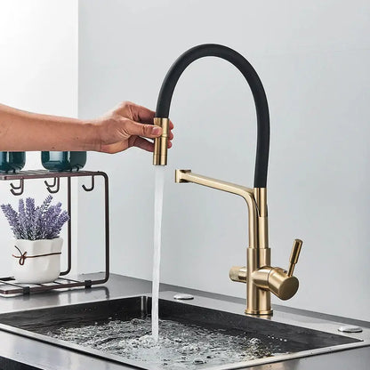 Modern gold and black dual spout kitchen faucet with brass finish and flexible black rubber hose by decorbites dual spout kitchen