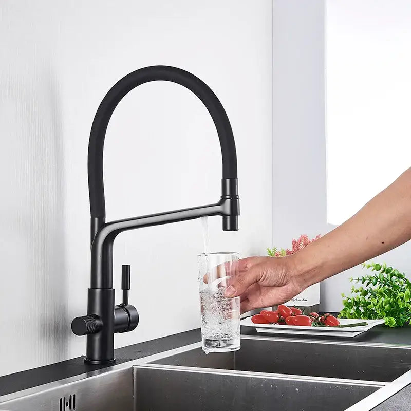 Black matte-finish dual spout kitchen faucet with curved spout and pull-down hose by decorbites dual spout