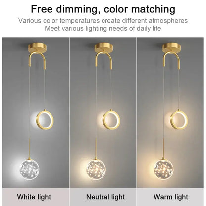 Modern gold and black glass globe pendant light with circular ring and spherical led globe features selectable light colors