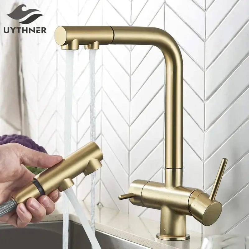 Modern gold decorbites dual handle kitchen faucet with pull out spray and dual handle waterfilter feature