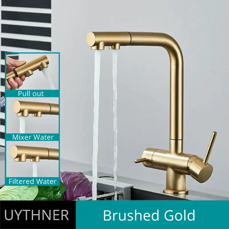 Modern gold dual handle waterfilter kitchen faucet in brushed gold with pull out spray and mixer water functionality