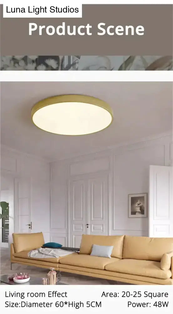 Round ceiling light with gold-colored frame and soft white illumination from DecorBites™ for living room and bedroom use